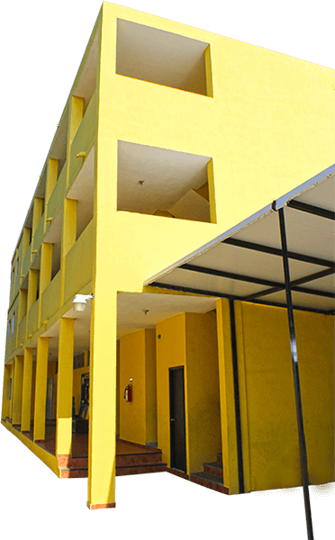 Primaria
